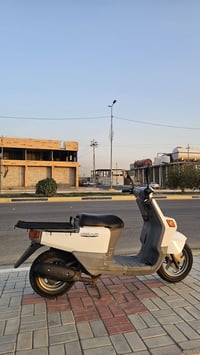 بيك أم • ابيض • مامفتوحه