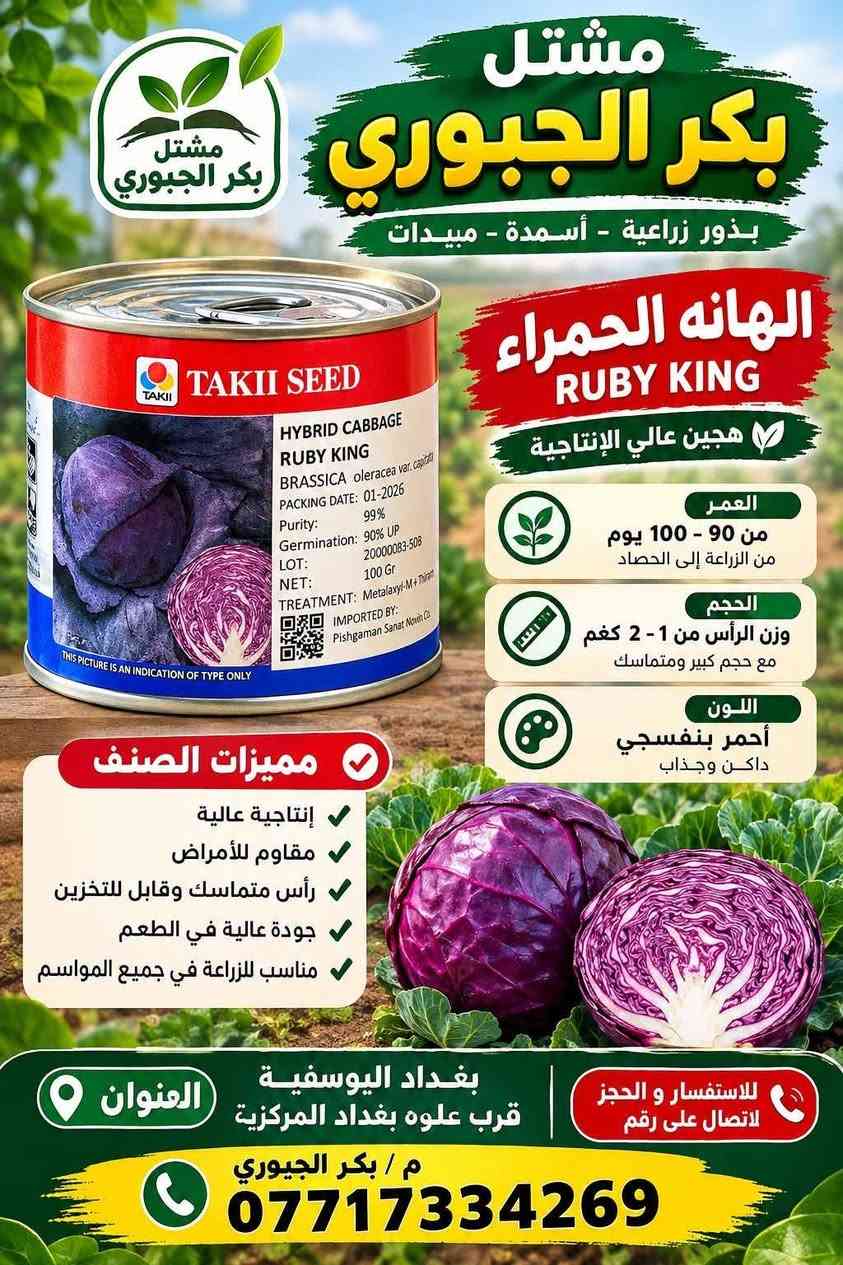 مشتل بكر الجبوري • لهانة حمره • قرنابيط