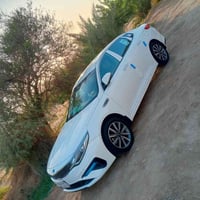 اوبتيما • ٢٠١٩ • الديوانيه