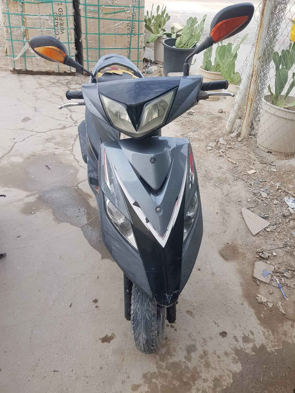 ثعلب • مجفته • القرنه