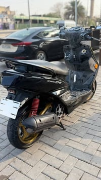 سكنس فحل • كلجات رياضي • زنون