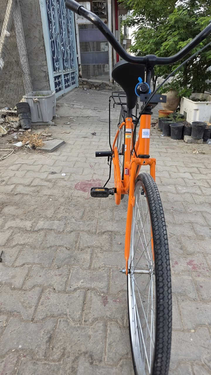 بسكليت • واتساب