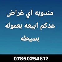 لا توجد تفاصيل  نص مكتوب في الصور: - مندوبه اي غراض عدكم ابيعه بعموله ...
