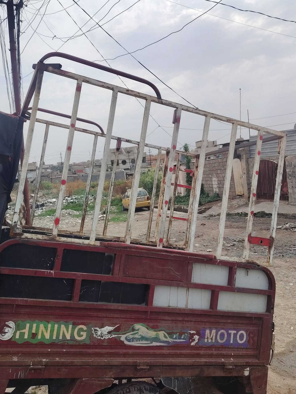 محجل • للبيع • واتساب
