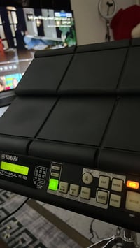 بيركشن Dtx • نضيف • ستاند