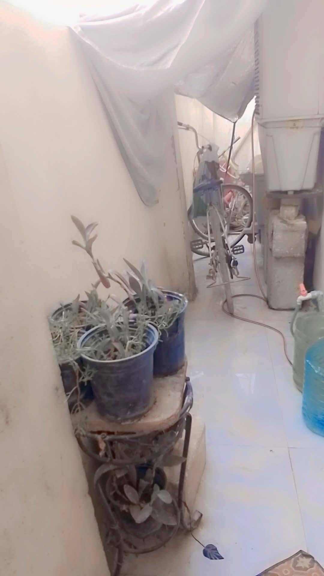 مشتمل للبيع مساحه 62 متر طابق ونص زراعي سند 25 مضمون العنوان خط النفط مقابيل بانزين خانه السعر 33بي مجال رقم الهاتف *********** ابلوك مبني لل معلومات
