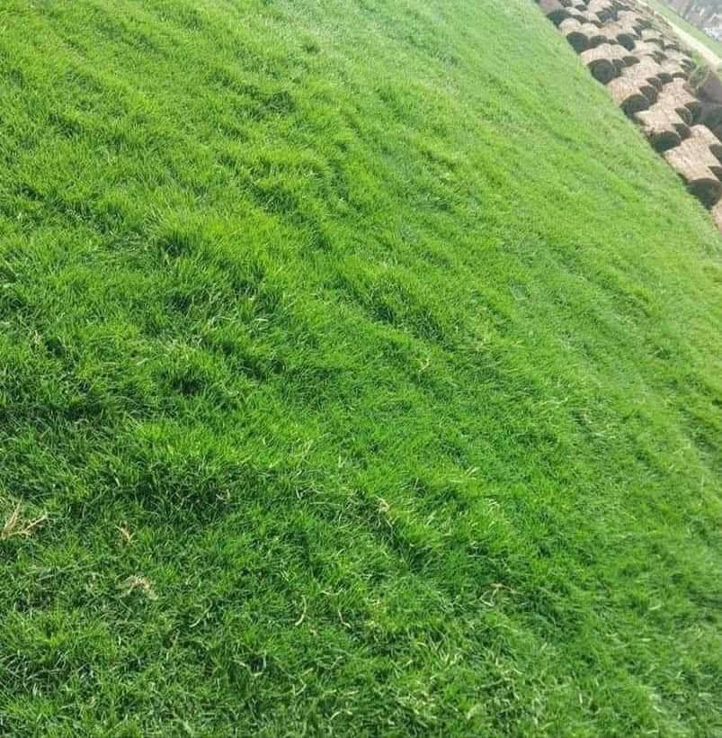 مزارع  ديالى للثيل الطبيعي 🍀
متوفر كافة انواع الثيل 🍀
( امريكي - الهندي - الايطالي - الفرنسي )
لتجهيز... مشاتل🌴
والدوائر حكوميه🏦
منازل🏡 
منتزهات🏄
موجود خدمة توصيل 🚕
لكل محافظات العراق 🚕
للطلب يرجى التواصل مع الصفحة او مراسلة واتساب او الاتصال على :
***********‏##‏‪***********‬‏
