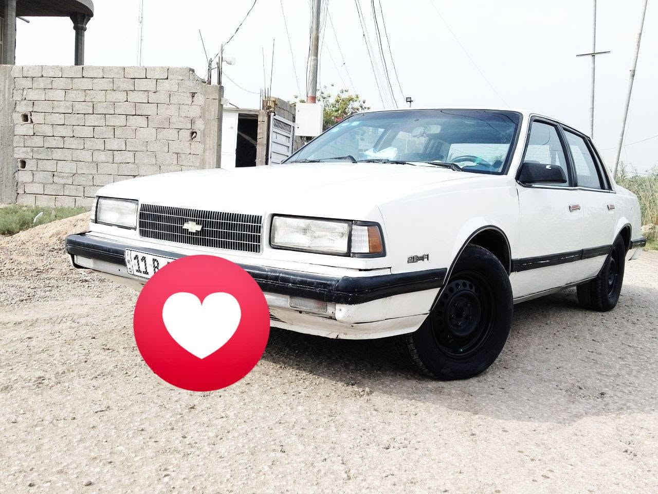 سلبرتي • ١٩٨٩ • بابل المسيب