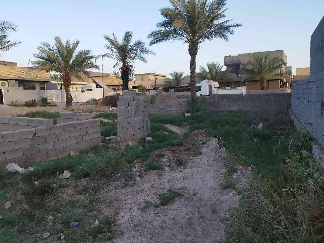 السلام عليكم قطعه ارض زراعي للبيع مساحه ٤٥٠متر كامله مجاري مي كهرباء تبليط حي كامل مبني بيهاا مكانهاا المحمودية حي المعامره مقابيل حي الجزائر رقم صاحب القطعه ***********
