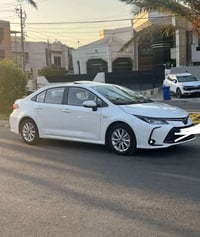 للبيع سعر 100 ورقه   +964 771 882 2790