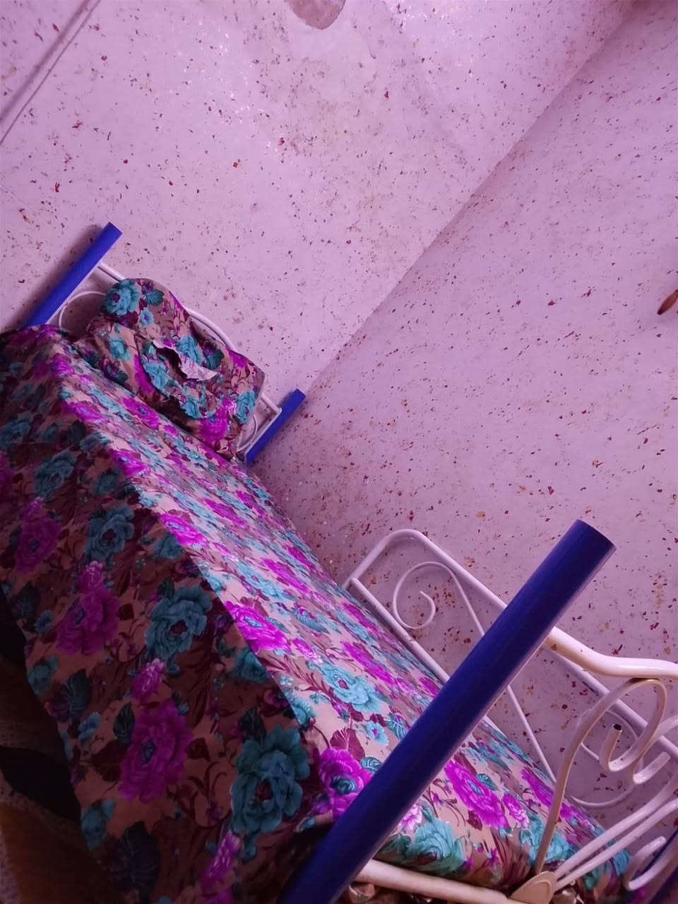 لا توجد تفاصيل
