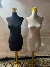 رفوف ٥ • فاترينة ٣ • ملكانات ٢