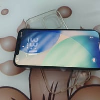 ١٢ برو ماكس • ٢٥٦ • قفل الوجه معطل