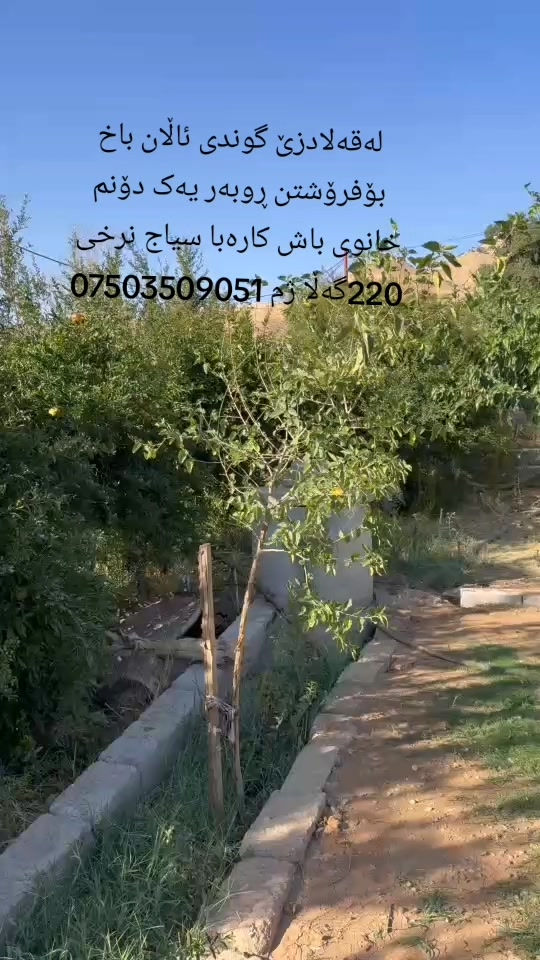 قه له دزى • ١ دونم • باغ مسيج