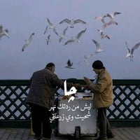 عامل ناشور طابوق • متفرغ • الرميثة/السماوة