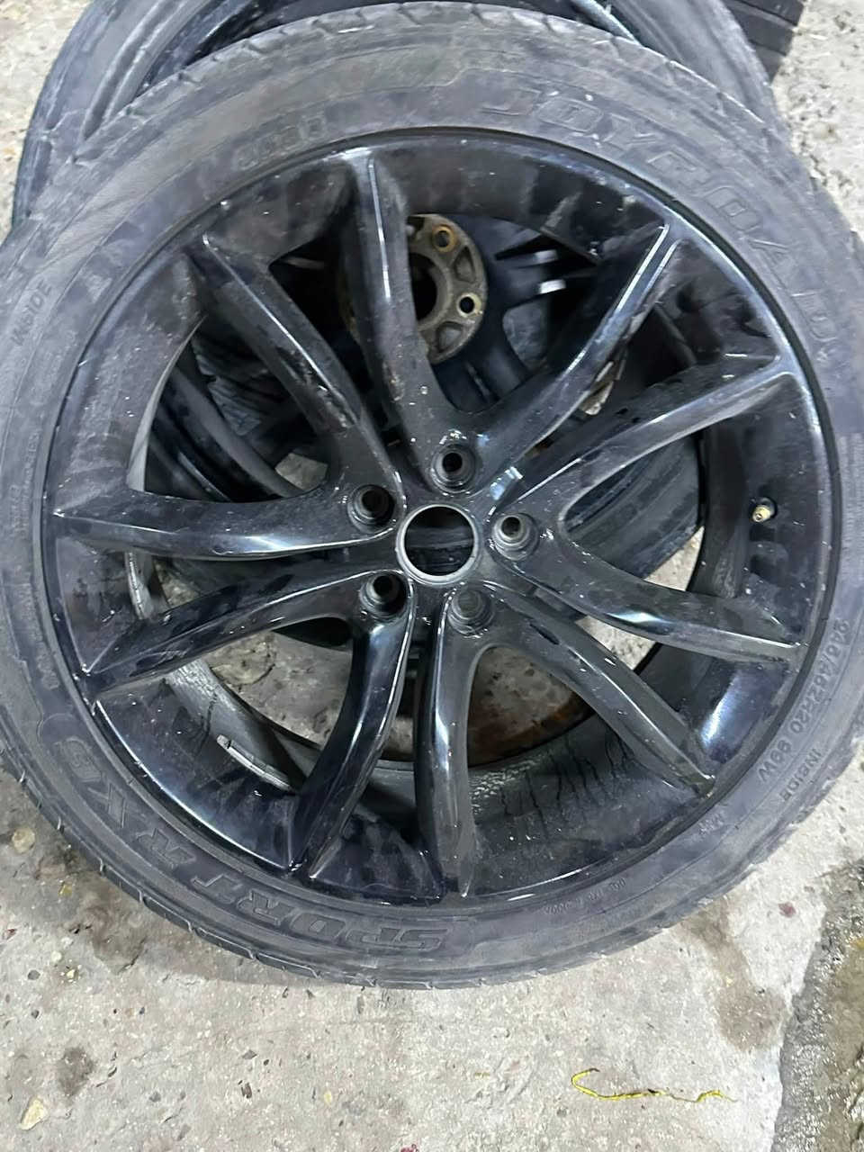 أي ويل بالصوره ينباع تك وزوج وتخم عنوان طويريج الحولي ***********
