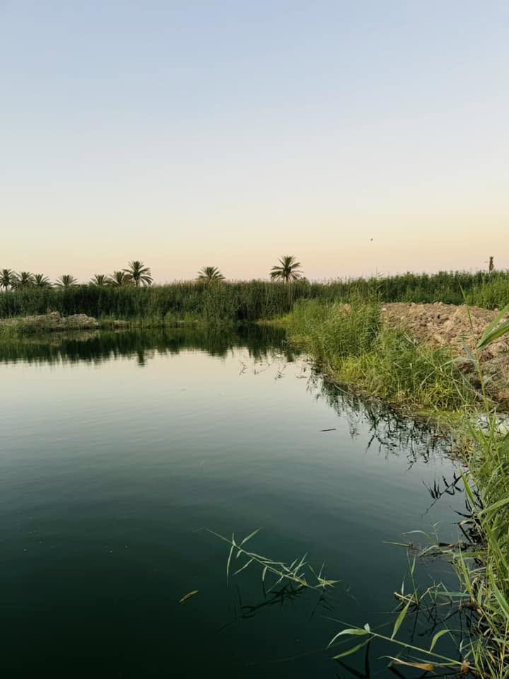 عشط نهر الفرات • ٣دونم • طابو