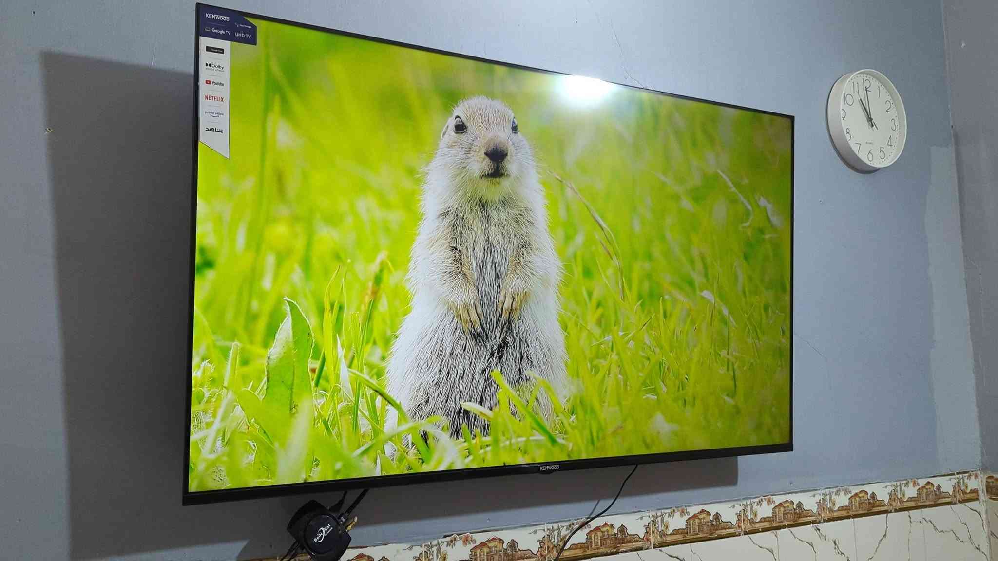 شاشة كينوود الذكية بمقاس 65 بوصة (LED-KN65-SMART) تتميز بمجموعة من المواصفات المتطورة والذكية: [1]
شاشه حجم 65 كينود سمارت نضام كوكل تيفي ناطق فوركي حقيقي سماعت استريو معدل تحديث 120هرتزيه شاشه فول موصفات اخت الجديده كامله مكمله سعرهة 550قفل سعرجديده 750 مكاني بغداد وره سيطرات الشعب

📺 التصميم وجودة العرض

حجم الشاشة: 65 بوصة.

نوع اللوحة (Panel): شاشة LED بتصميم معدني نحيف جداً وبدون إطار (Metal Frameless Super Slim Design).

الدقة: 4K Ultra HD بدقة وضوح (3840 × 2160 بكسل) لعرض تفاصيل فائقة النقاء.

تقنيات الصورة: تدعم تقنية Dolby Vision للتباين والألوان الواقعية.

معدل التحديث: تدعم خاصية DLG 120Hz التي توفر سلاسة ممتازة أثناء مشاهدة مباريات كرة القدم وألعاب الفيديو السريعة. [1]

🧠 النظام والذكاء الاصطناعي

نظام التشغيل: نظام Google TV الرسمي القائم على أندرويد (تلفزيون ذكي بالكامل).

المساعد الصوتي: دعم كامل للأوامر الصوتية من خلال مساعد جوجل (Google Assistant / Hey Google).

التطبيقات المدعومة: تشغيل رسمي ومثبت مسبقاً لأشهر البرامج مثل (YouTube - Netflix - Prime Video) بالإضافة إلى دعم متجر جوجل لتنزيل كافة التطبيقات والألعاب. [1, 2, 3]

🔌 التوصيل والمنافذ

الاتصال اللاسلكي: واي فاي (Wi-Fi) مدمج وبلوتوث (Bluetooth).

المنافذ: تحتوي على مداخل HDMI لتوصيل أجهزة الألعاب والستلايت، ومداخل USB لتشغيل الفلاشات والملفات الخارجية.

التحكم الذكي: ريموت كنترول يدعم التحكم بالأوامر الصوتية والبحث الذكي. [1]
شاشة كينوود الذكية بمقاس 65 بوصة (LED-KN65-SMART) تتميز بمجموعة من المواصفات المتطورة والذكية: [1]

شاشة كينوود الذكية بمقاس 65 بوصة (LED-KN65-SMART) تتميز بمجموعة من المواصفات المتطورة والذكية: [1]
شاشة كينوود الذكية بمقاس 65 بوصة (LED-KN65-SMART) تتميز بمجموعة من المواصفات المتطورة والذكية: [1]

شاشة كينوود الذكية بمقاس 65 بوصة (LED-KN65-SMART) تتميز بمجموعة من المواصفات المتطورة والذكية: [1]
شاشة كينوود الذكية بمقاس 65 بوصة (LED-KN65-SMART) تتميز بمجموعة من المواصفات المتطورة والذكية: [1]

شاشة كينوود الذكية بمقاس 65 بوصة (LED-KN65-SMART) تتميز بمجموعة من المواصفات المتطورة والذكية: [1]

شاشة كينوود الذكية بمقاس 65 بوصة (LED-KN65-SMART) تتميز بمجموعة من المواصفات المتطورة والذكية: [1]

شاشة كينوود الذكية بمقاس 65 بوصة (LED-KN65-SMART) تتميز بمجموعة من المواصفات المتطورة والذكية: [1]
شاشة كينوود الذكية بمقاس 65 بوصة (LED-KN65-SMART) تتميز بمجموعة من المواصفات المتطورة والذكية: [1]

شاشة كينوود الذكية بمقاس 65 بوصة (LED-KN65-SMART) تتميز بمجموعة من المواصفات المتطورة والذكية: [1]

شاشة كينوود الذكية بمقاس 65 بوصة (LED-KN65-SMART) تتميز بمجموعة من المواصفات المتطورة والذكية: [1]
شاشة كينوود الذكية بمقاس 65 بوصة (LED-KN65-SMART) تتميز بمجموعة من المواصفات المتطورة والذكية: [1]
