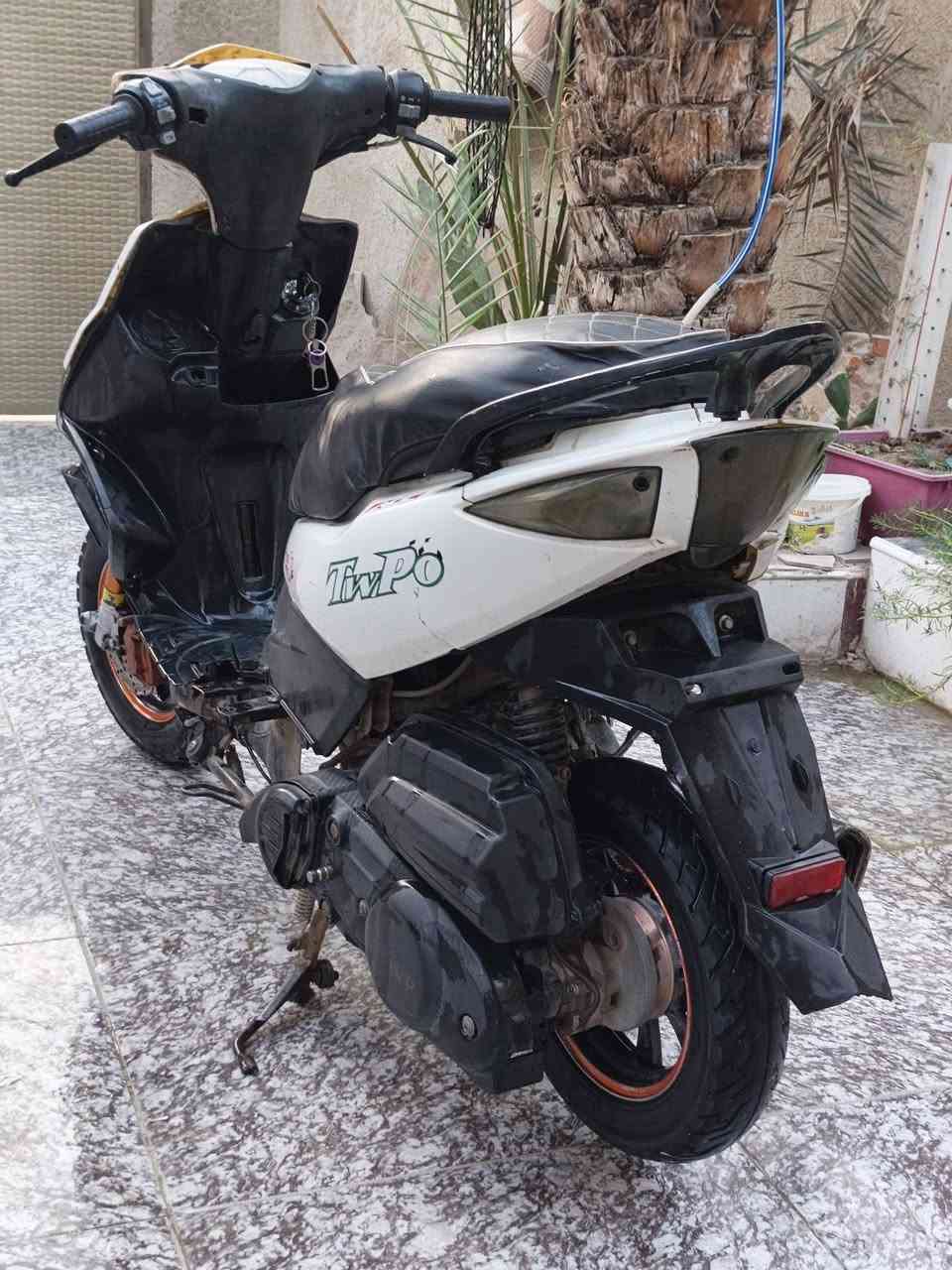 ماكس مضلع • نضيفه • واتساب