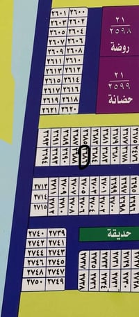 ام عباسيات • ٢٦٨٦م • طابو صرف حكومي