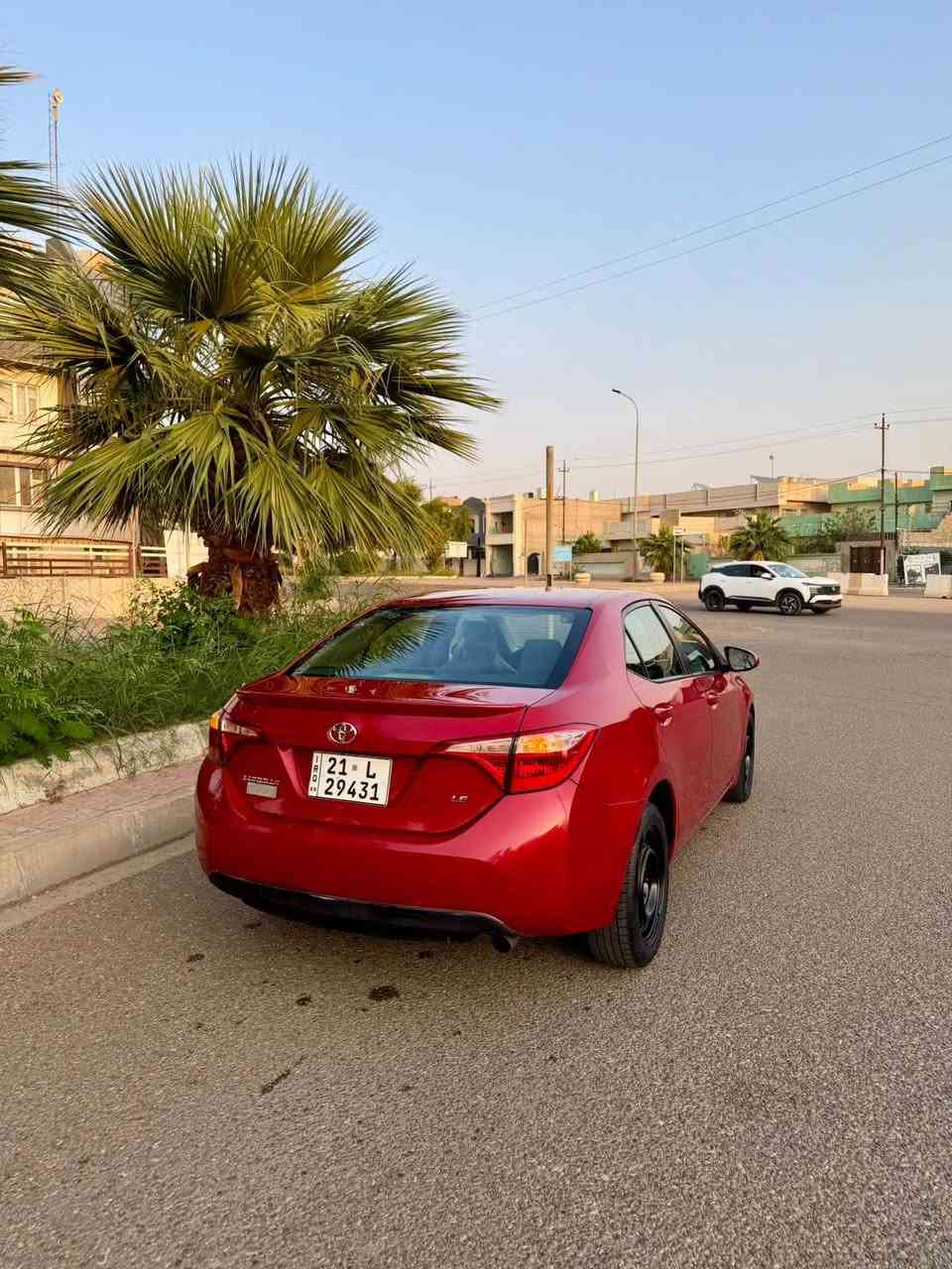 كورلا LE • ٢٠١٩ • رقم سليمانية