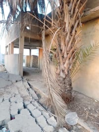 كاطون الرحمه • مساحة ٢٤٠ • دار قديم