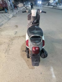 ماكس بوليس • حاويه • ستوته