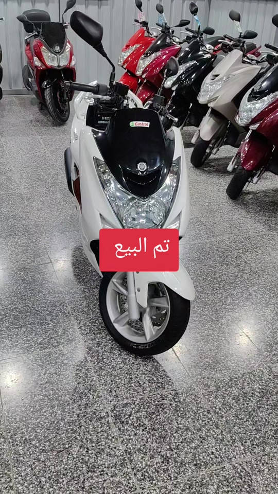 سلام عليكم...  اخوان اتصل فقط.... البيع نقد والاقساط  ماستر كارد الرافدين فقط👉 مواضف ومنتسب فقط👉 استقطاع الكتروني بدون مقدمة دراجات بحالة الوكالة (كارتون) شغلي رمبة فقط👍🇯🇵 ***********☎️ ***********☎️ بغداد المشتل 👉 نهاية شارع المطبك قرب الكنيسه  يوجد لدينا توصل لكافة المحافظات 🇮🇶 # #..#عمارابوياسر☝🏻 

نص مكتوب في الصور:
- تم البيع