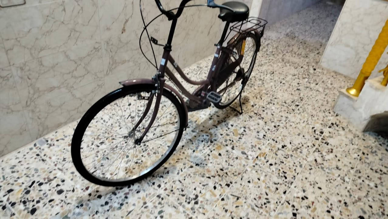 باسكل للبيع مكانه نصر مهندسين ١٢٠ 
‏‪***********‬‏

