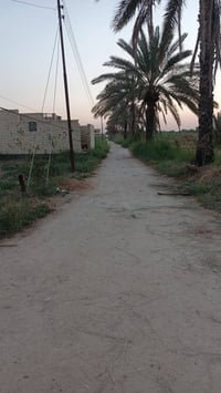 طريق كربلاء طوريج • ١٠٥٠م • بيت ٢٠٠م
