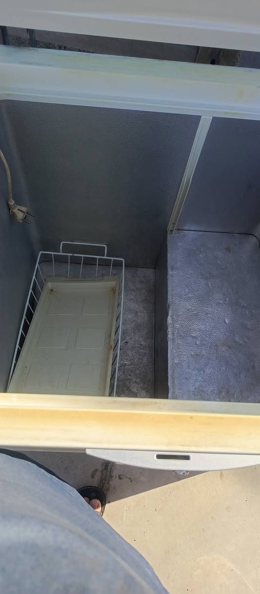 مجمده للبيع متر الطول نص تجميد بيه ليك  نضيفه كلش السعر 75 وبيه مجال شراي راسل خاص وتدلل
