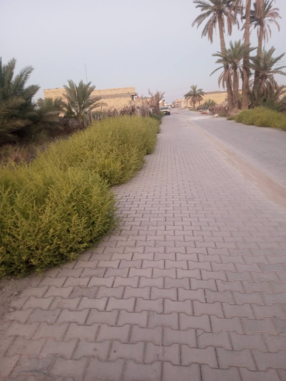 قطعه للبيع  300 متر  خلف الملعب القديم شارع الصادق كافة الخدمات ‏‪***********‬‏
