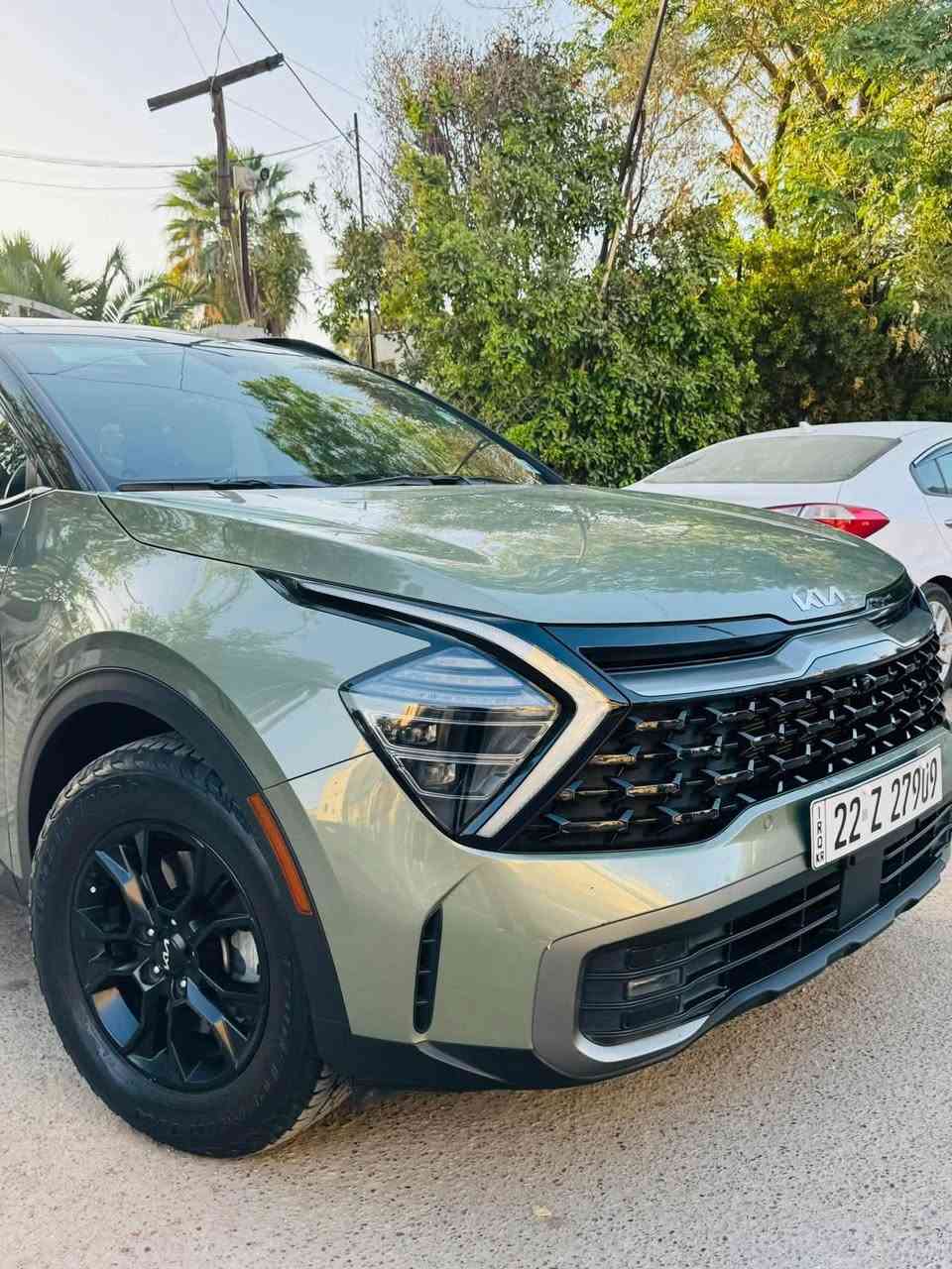 سبورتج برستيج • وارد امريكي • ٢٠٢٤