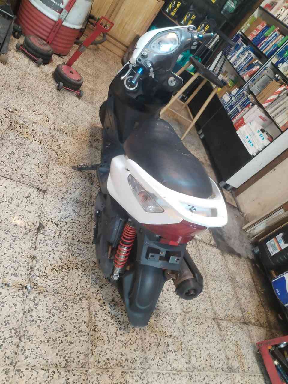 ثعلب • كفالة عامه • مكينة تخبل