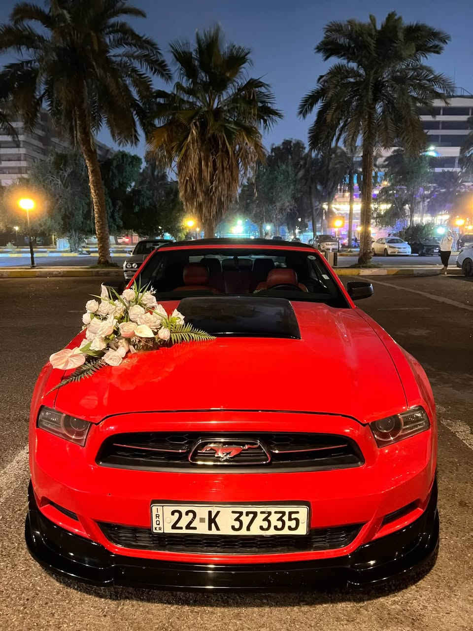 سلام عليكم
موستنك ٦ سلندر 
٢٠١٣ 
السياره حيل نظيفه و فقط بنيد مبدل كلش معتني بيها 
رقم اربيل بإسم كردي ضمان التحويل 
كير محرك حداديه كفاله 
و الكشف كلش نظيف 
مكاني بغداد 
رايدها ب 115 و مجال قليل جدا 
***********
