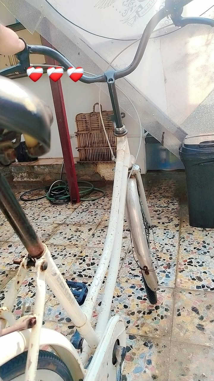 ياباني • مستعمل قليل • طواير جديدة