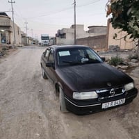 فيكترا • حجم ١٫٦ • مصبوغة