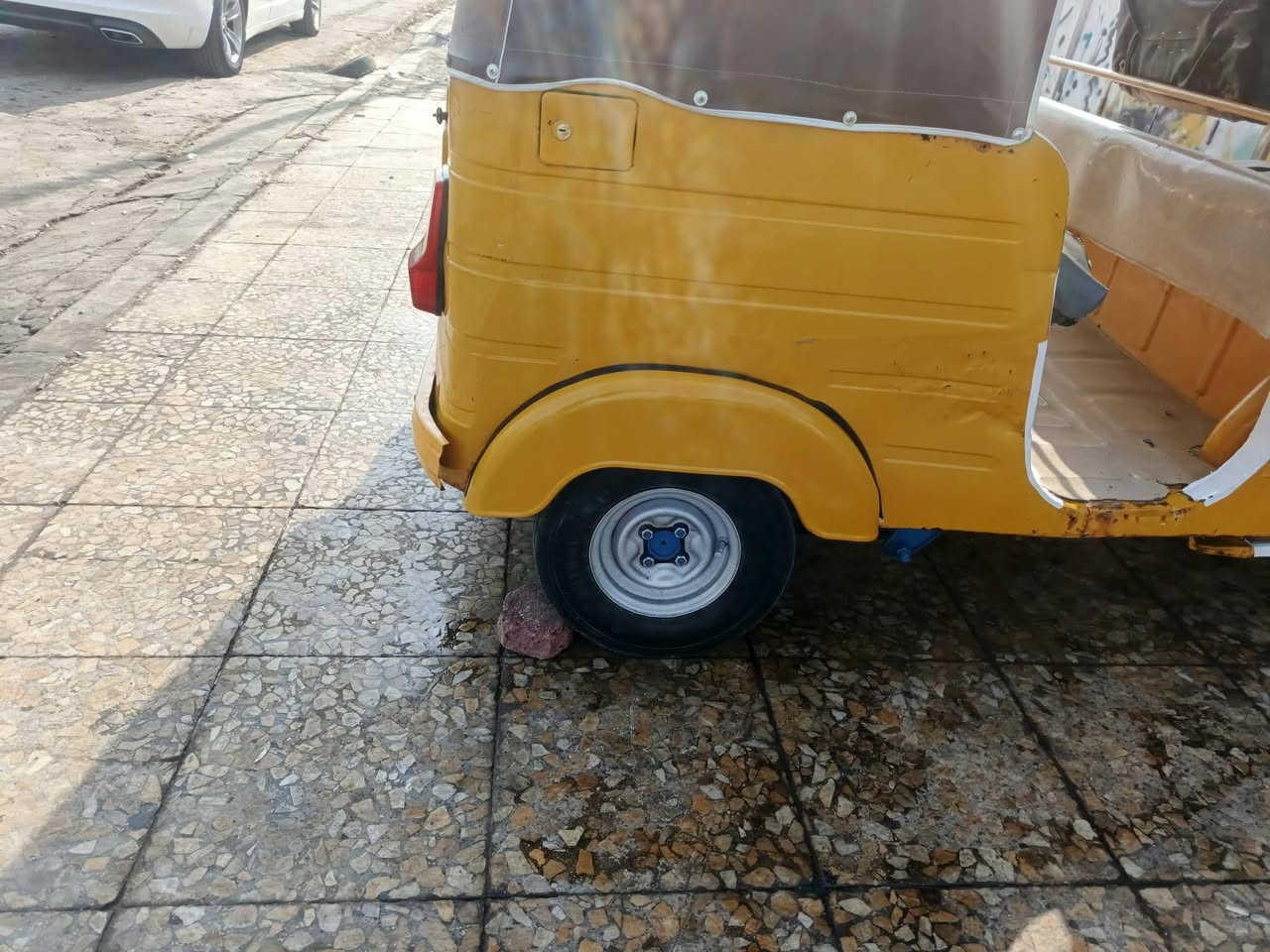 ٢٠١٩ • نضيفه • المجر الكبير