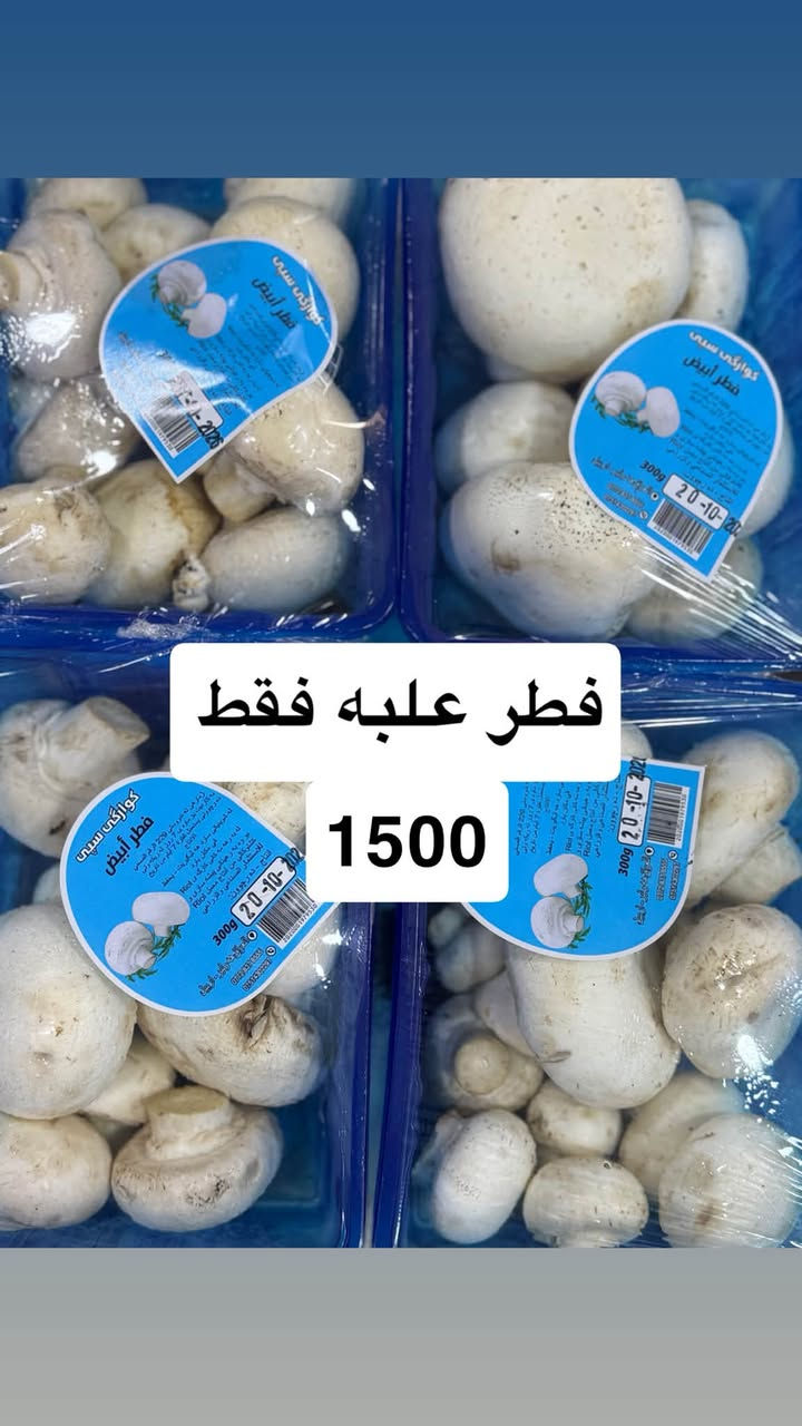 ماركت الشامي • الأنبار هيت • توصيل