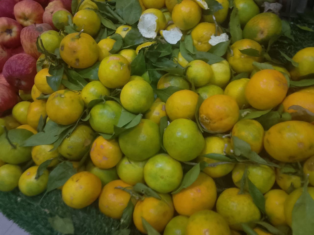 مسواك • اليوم