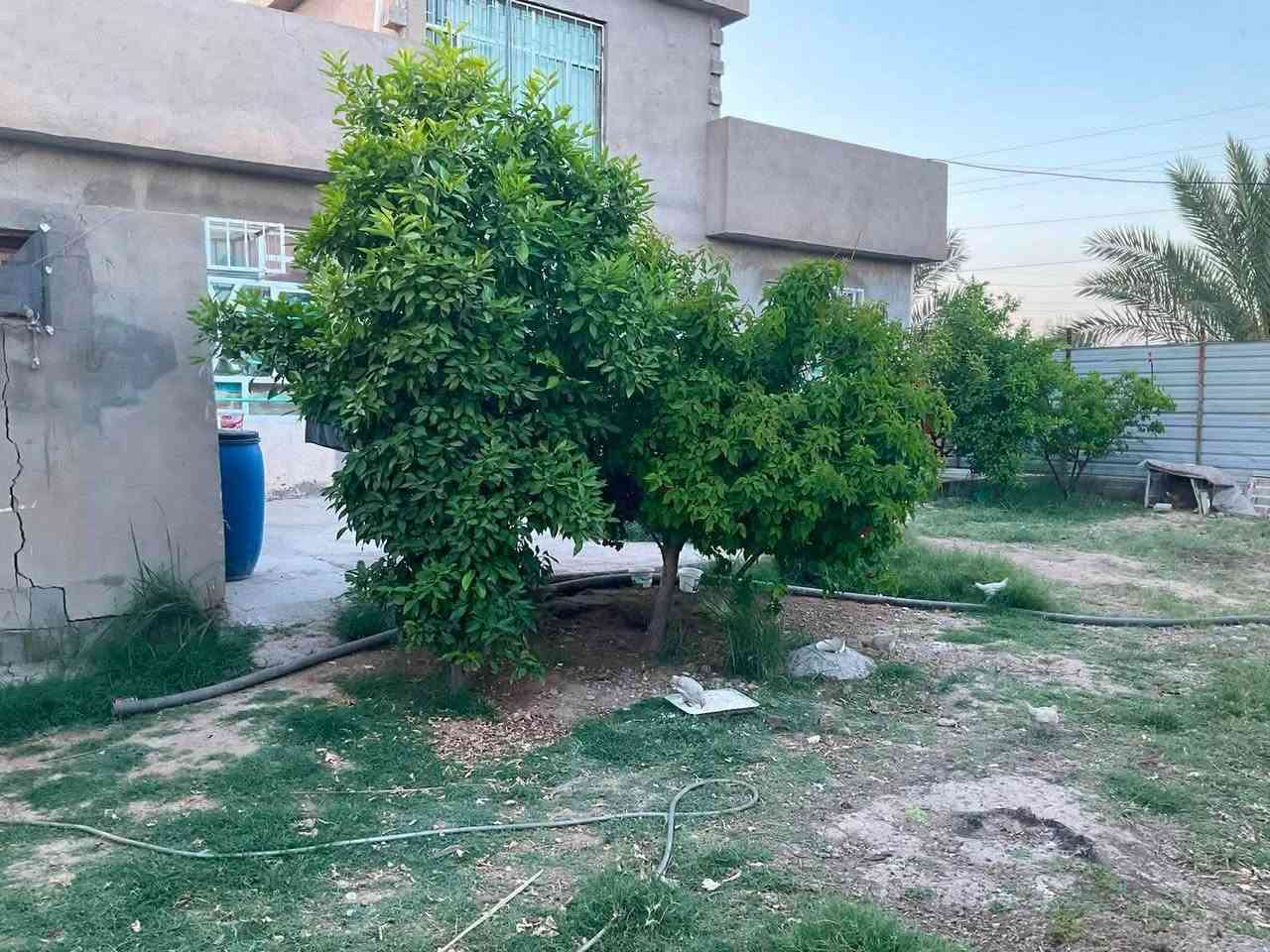 دار للبيع مساحة الكلية 608 متر  سند 25 السند بأسمي 
مساحة البناء 170 متر
يتكون من استقبال وهول وصاله ومطبخ وغرف عدد 2 وصحيات 
موقعه خلف محطة حوهرة العدنان قرب السريع الدولي مجاور جامع القدوس الجنابيين

نص مكتوب في الصور:
- *********** ابو فهد *********** ابو سراج