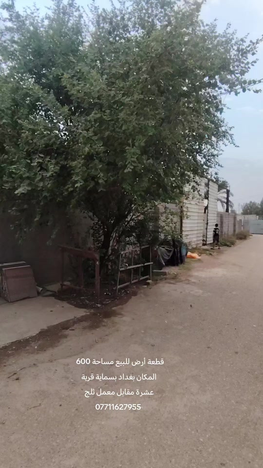 بسماية قرية • مقابل معمل ثلج • ٦٠٠م