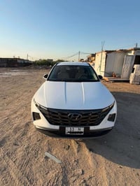 ٢٠٢٤ • خليجي • فول مواصفات