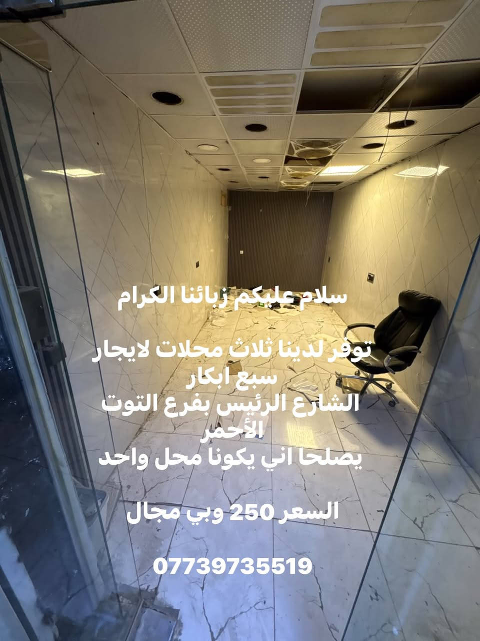 سلام عليكم زبائنا الكرام
توفر لدينا ثلاث محلات لايجار سبع ابكار
 الشارع الرئيس بفرع التوت الأحمر
 يصلحا اني يكونا محل واحد 

السعر 250 وبي مجال 

***********

