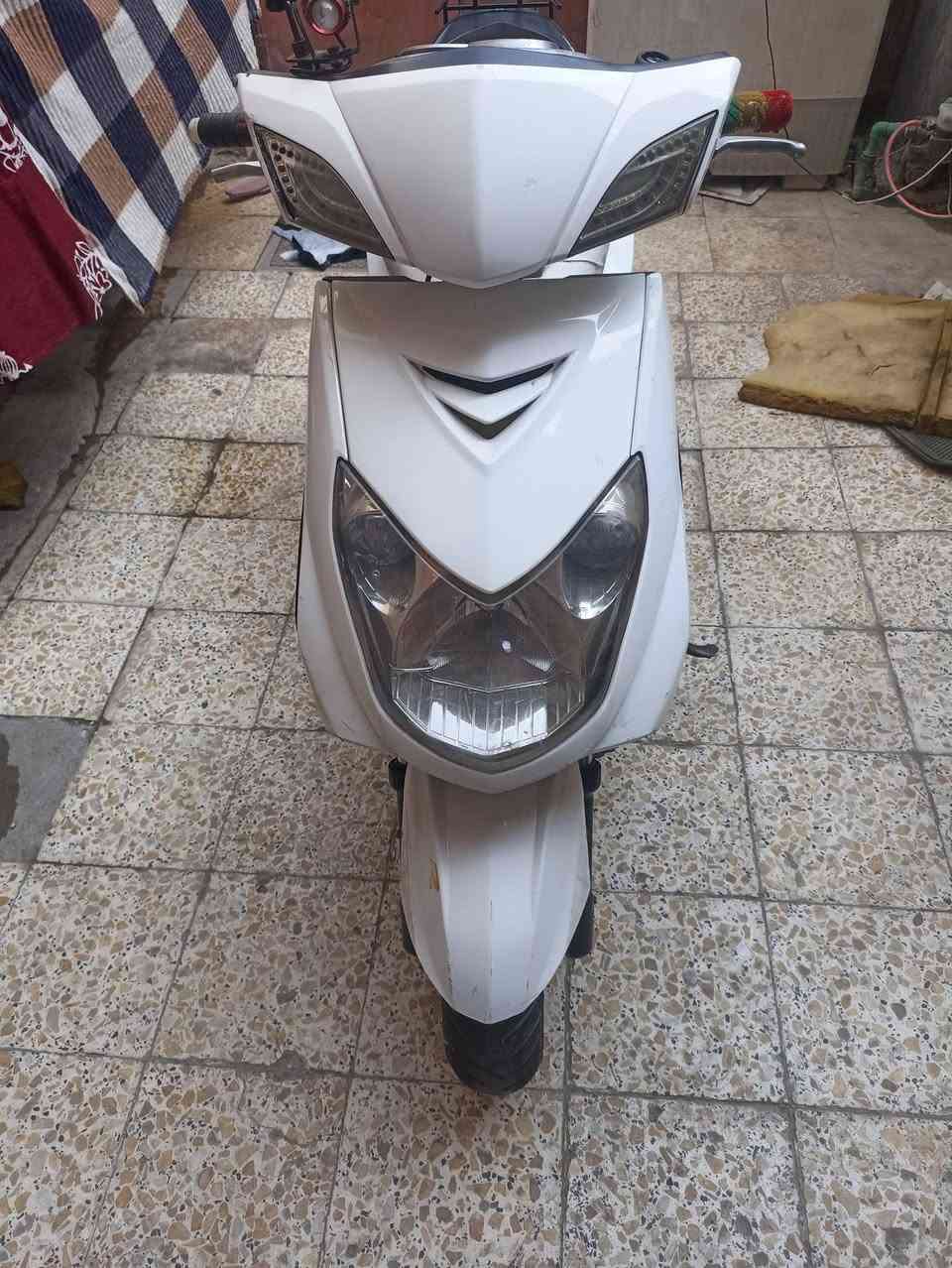 سكنس • شلعه • اوراق