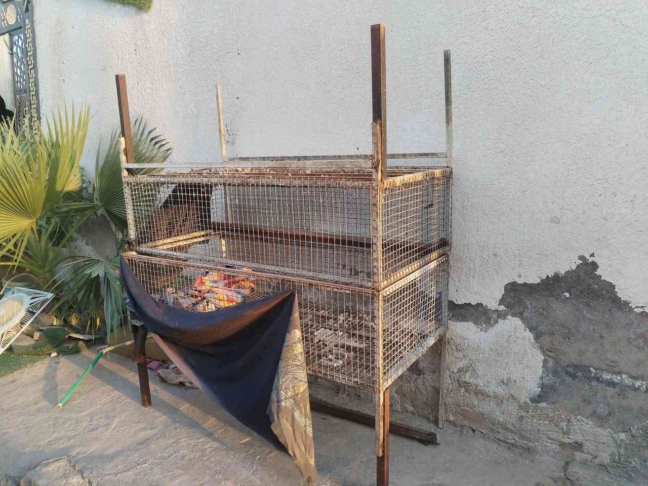 قفاص مال دجاج • سعر مناسب • نظيف
