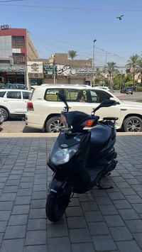 سكنس فحل • ياباني • زنون