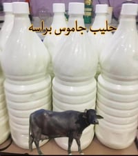 حليب جاموس • زبد هوش • دهن حر اصلي