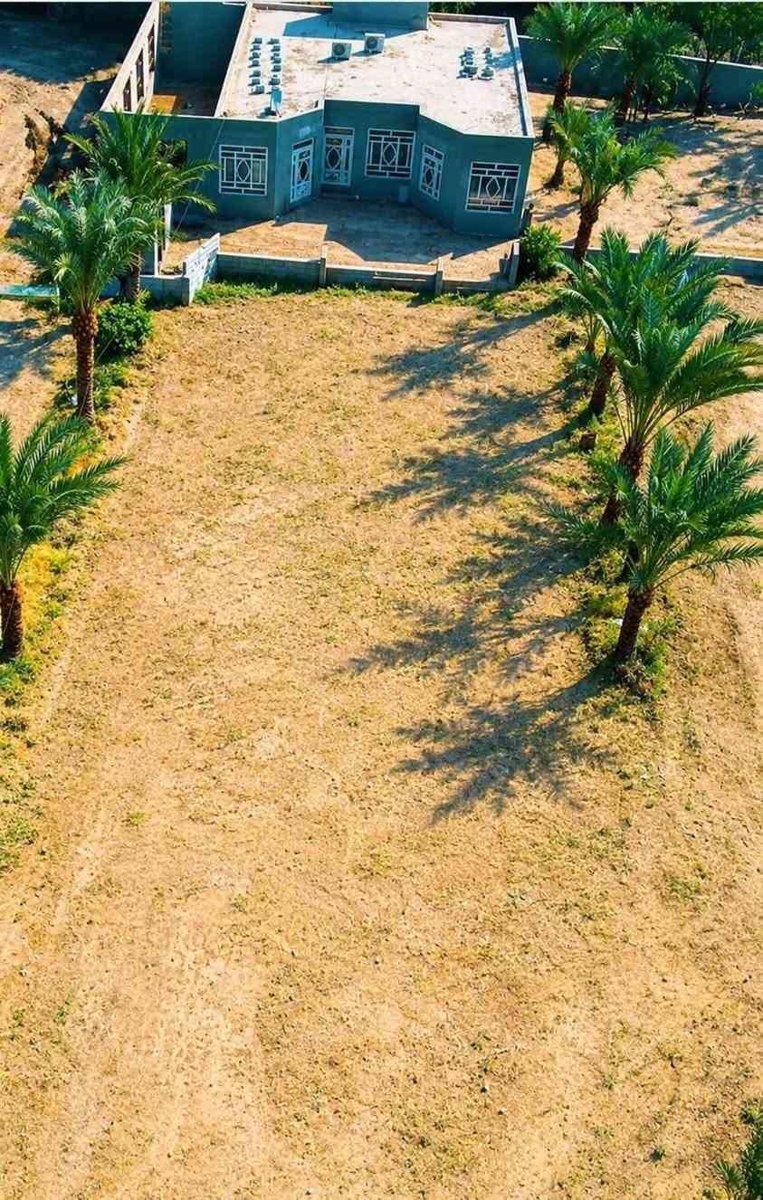 دونمين • بيت ٣٥٠م • الحولي