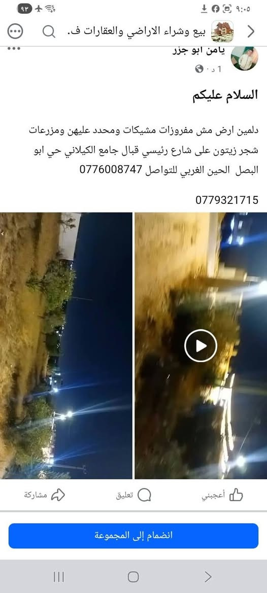 الرمثا طريق ابو البصل • ارض مش مفروزات • شجر زيتون